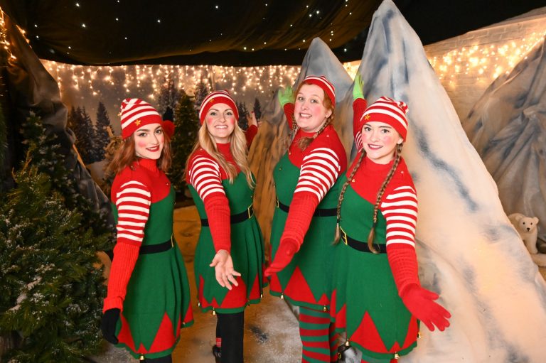 Experience the magic of Sledmere this Christmas! The Driffield and