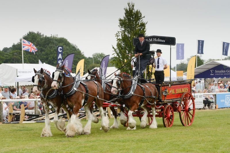 Driffield Show 2024: A fun day out for all the family - The Wolds ...