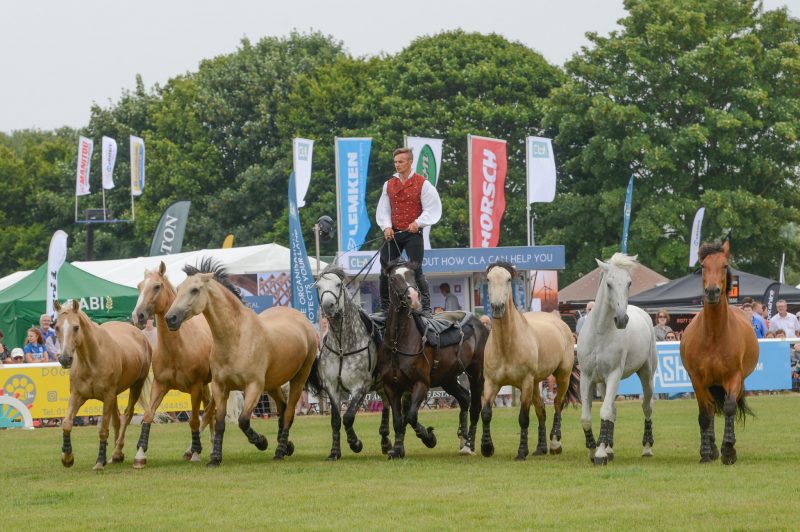 Driffield Show 2024: A fun day out for all the family - The Wolds ...