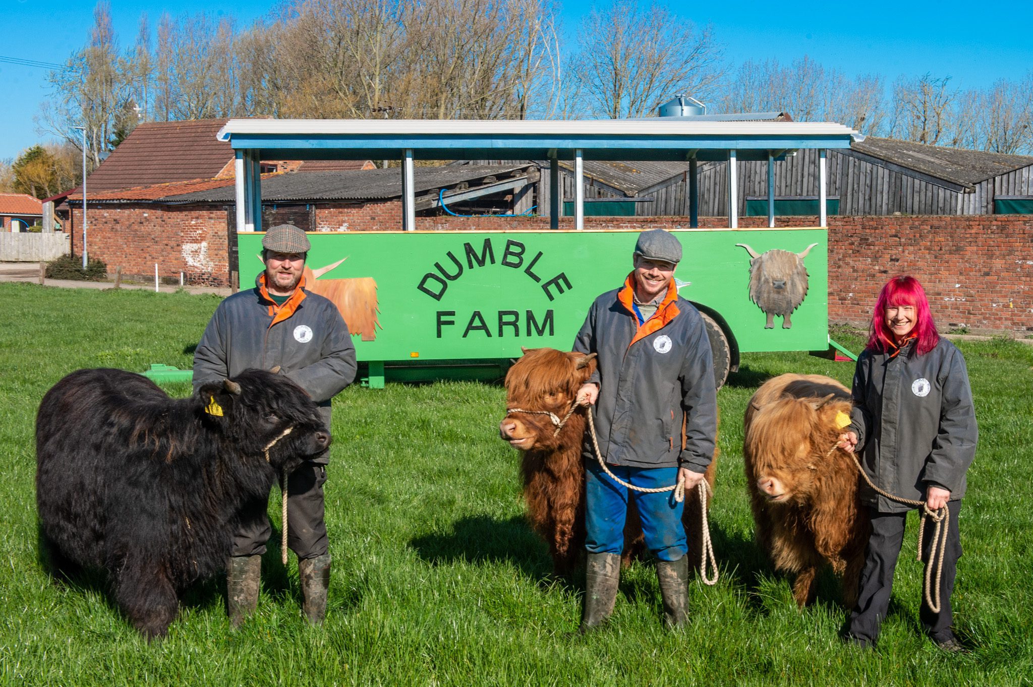 Sponsor A Highland Cow, Dumble Farm