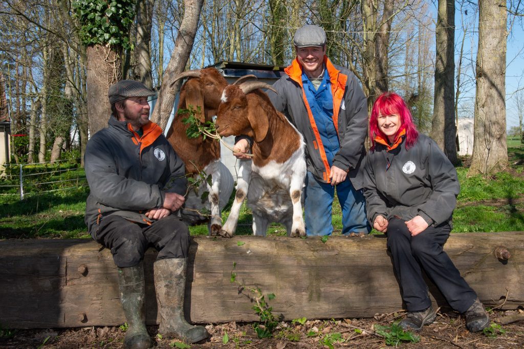 Sponsor A Highland Cow, Dumble Farm