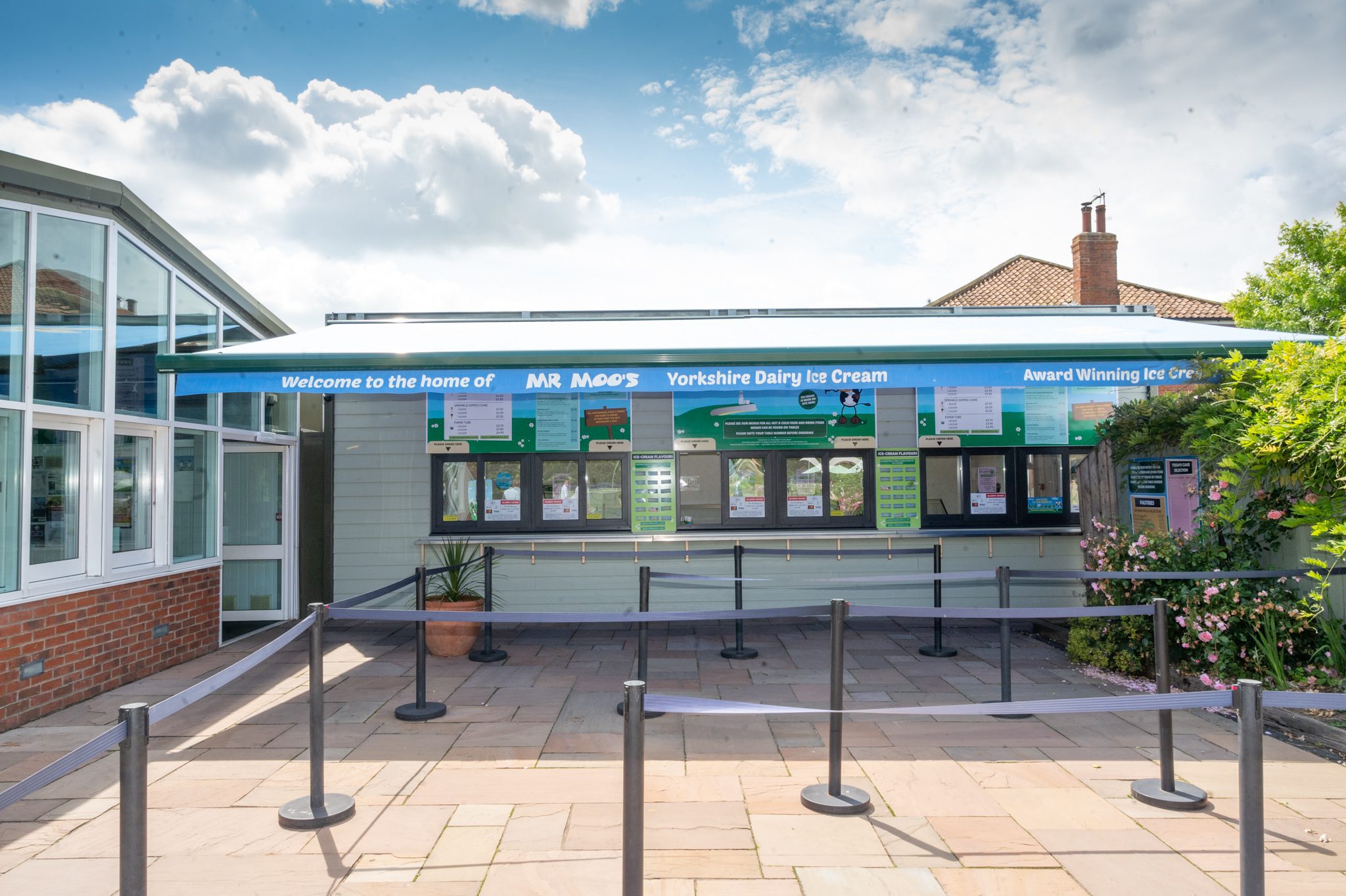 Mr Moo's Milestone: 20 Years of Dairy Delights - A Sweet Celebration in ...