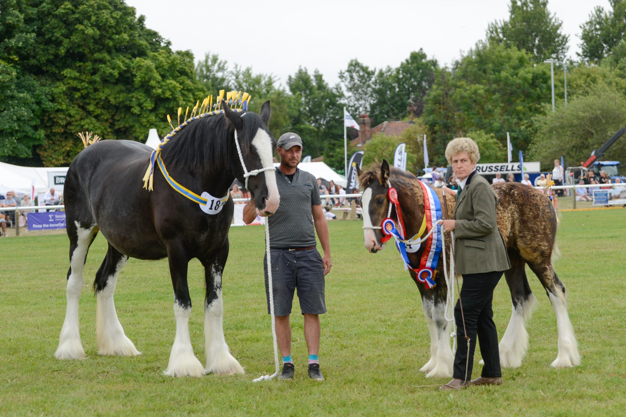 Driffield Show 2024 Gallops Ahead with Record Equestrian Entries - The ...