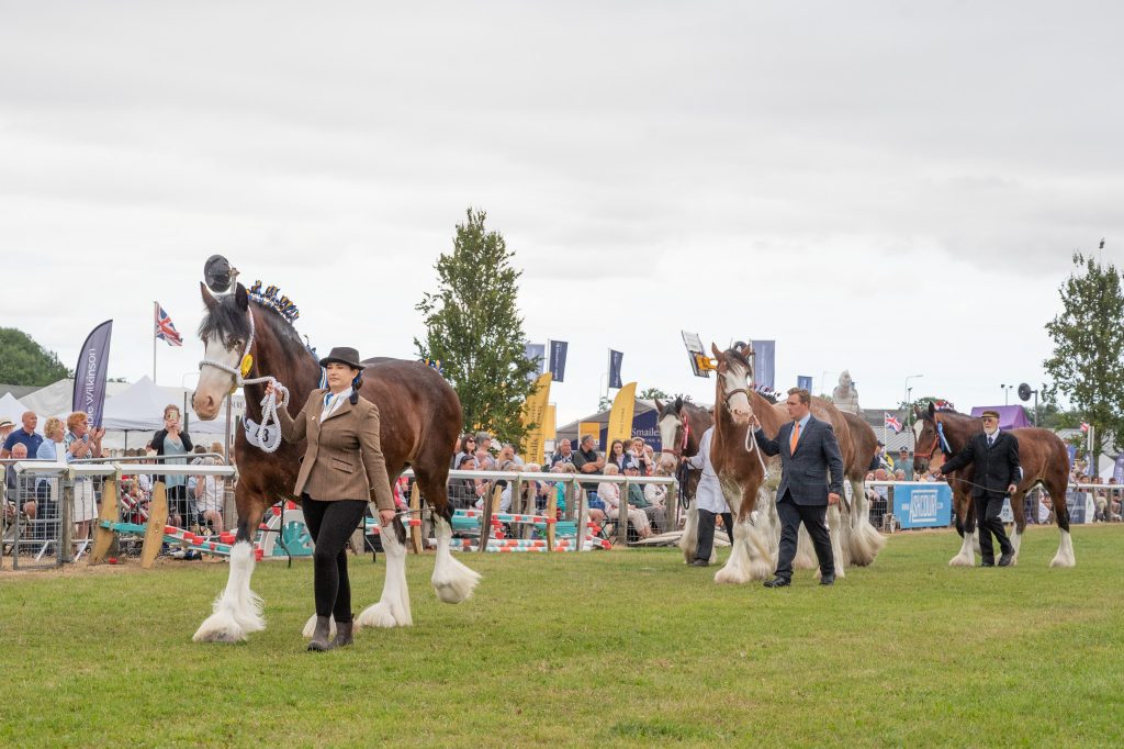 Driffield Show 2024 Gallops Ahead with Record Equestrian Entries - The ...