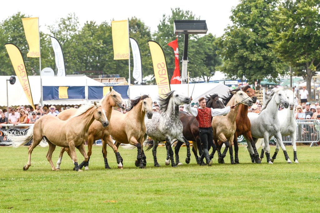 Driffield Show 2024 Gallops Ahead with Record Equestrian Entries - The ...