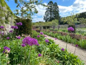 100694295_1700211376814618_4298447993331253248_o