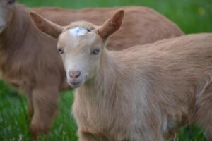 101142930_2980141212077357_9100963690802315264_o