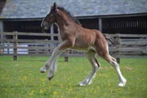 101384427_2980141142077364_4509153488235659264_o