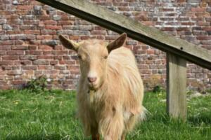 193594000_4038056262952508_2127530536541931878_n