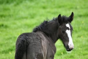 196519403_4053631404728327_5910362690906543534_n