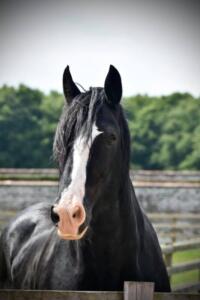 197253757_4064603066964494_483935979196236669_n