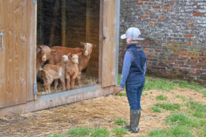 Sledmere House and Gardens - Easing of Covid 19 lockdown -  Sid Fenwick