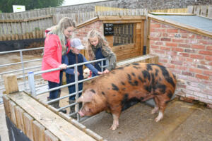 Sledmere House and Gardens - Easing of Covid 19 lockdown -