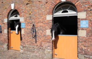 Sledmere House amp; Gardens - Refurbished Cafe and Farmshop